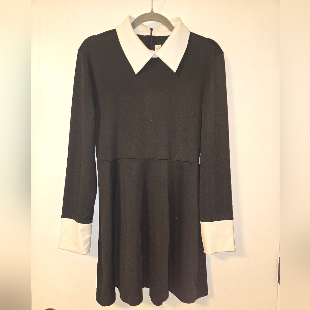 Chic Contrast Collar "Wednesday" Skater Dress